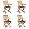 VidaXL Set of 4 Folding Garden Chairs with Cushions, Patio Seats, Dining Chairs, Patio Furniture 3064640