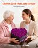 Forever Flowers, 27 Preserved Roses in Heart Shape Box, Eternal Flowers Immortal Bouquet Birthday Present for Women Her Wife Mothers, Anniversary,
