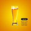 Artisanal Craft Beer Glass Set