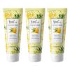 Enesti Hot Spring Water Filled Moist Aloe & Honey Cleansing Foam, 140ml, 3 Pieces