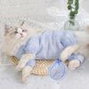 Spring and Summer Cat Thin Four-legged Lace Belly Coat Warm Belly Protection Dog Home Clothes Spring Pet Clothes