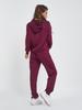Трикотажный спортивный костюм с капюшоном ISSA Plus