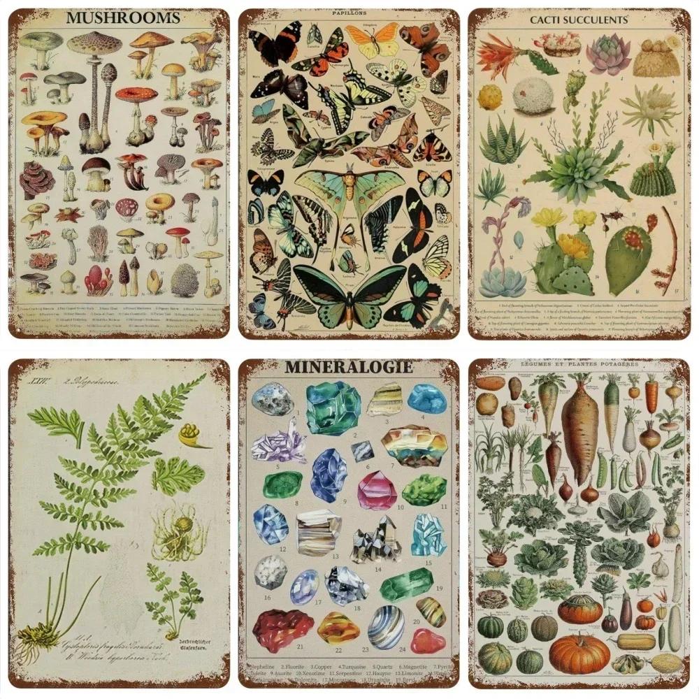 Vintage Butterfly Insect Plant Collection Chart Metal Tin Sign Retro Aesthetic Art Decor for Living Room Wall Home Decor Poster