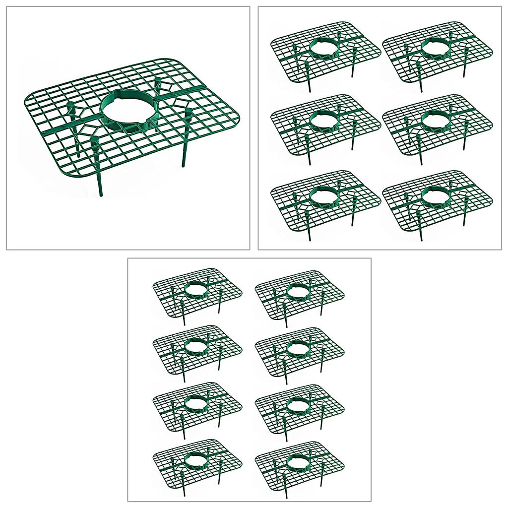 1/6/8 шт. Поддержка клубничных растений Подставка для посадки клубники Поддержание клубничных растений Стойка для выращивания клубники Выращивание