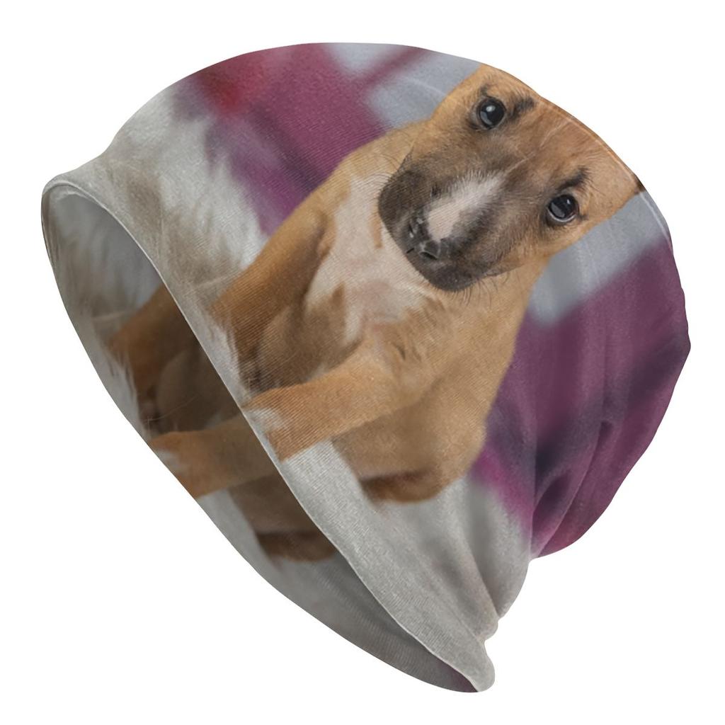 Английский бультерьер Skullies шапочки женские унисекс зимние теплые объемные шапочки шапка животное домашнее животное щенок вязаная шапка для лыж