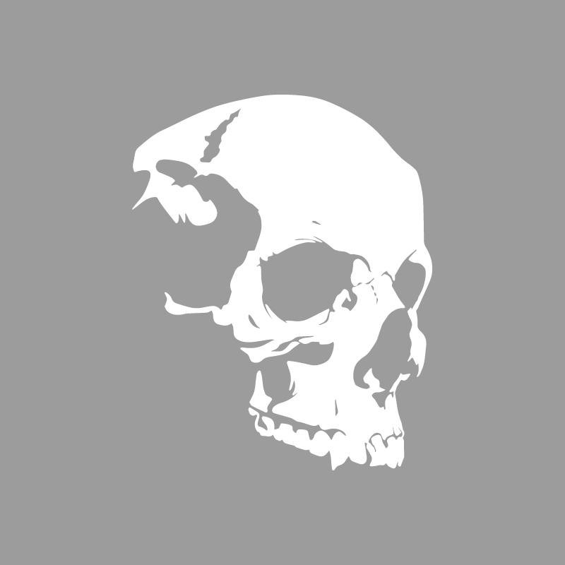Расширенная текстура скелета черепа Дизайн приключений на открытом воздухе, наклейки для приключений на открытом воздухе украшения на природную тематику прочный винил
