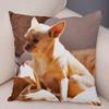 Cute Pet Animal Pillowcase Decorative Cute Puppy Chihuahua Pillowcase Soft Plush Cushion Cover for Car Sofa Home 45x45cm