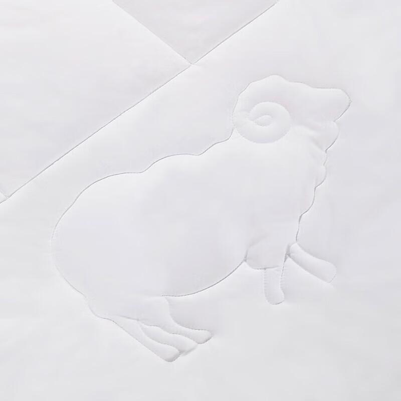 Fuanna Yimeng 100% Wool Detachable Winter Quilt