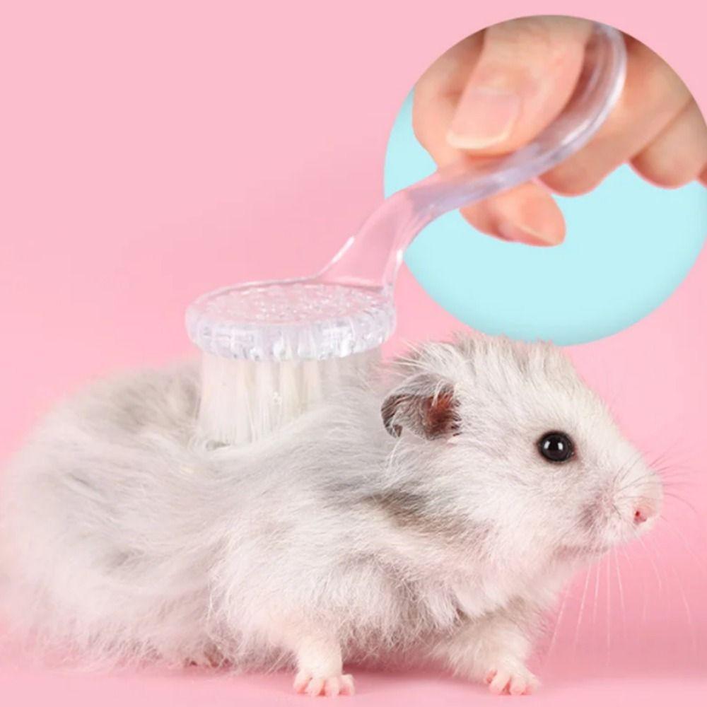 Soft Small Hamster Brush Long Hair Guinea Pig Massage Combs Hedgehog Bathing Brush  Grooming