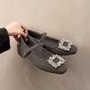 Versatile Thick Heel Single Shoes Women's Skirt Spring New Rhinestone Velvet Warm Mary Jane High Heels Tide