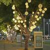 LED Rattan Decorative Outdoor Hanging Round Ball Lights for Landscape and Street Lighting