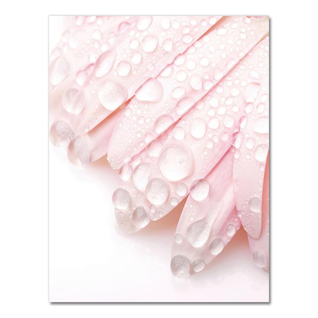 Розовый цветок фаленопсис пион георгин цитаты настенная живопись на холсте плакаты на скандинавскую тему и принты настенные панно для гостиной без рамы