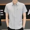 Summer Short-sleeved Shirt Men's Slim Senior Sense of Business Non-iron Striped Short-sleeved Shirt Hairstylist Tide Men's Clothing