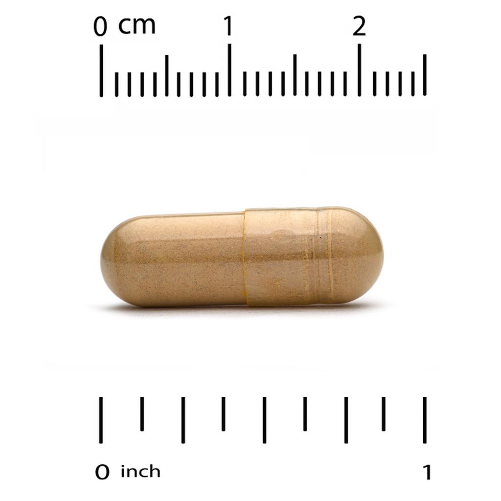 California Gold Nutrition Silymarin Complex, Milk Thistle Extract, BioPerine, 360 Capsules