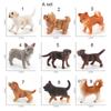 Accessories Puppy Figures Animal Model Children Educational Toys Micro Landscape Dog Figurine