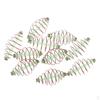 10 Штук Кормушка Пружинная Спираль для Забрасывания Рыболовная Inline Method Поплавочная оснастка 5.5x2.5 см/2.2x1.0