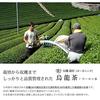 Gabai Farm Organic Cultivated Oolong Tea 3g40 bags (Oolong Tea) Domestic (Oita) JAS Chinese Health Bag Additive-Free