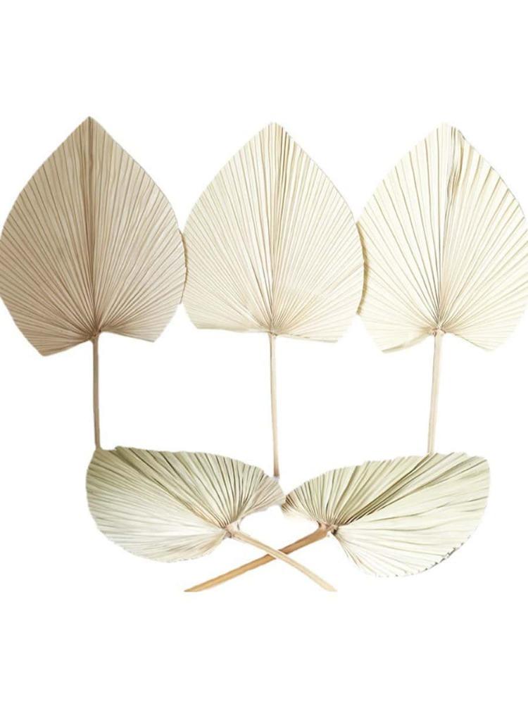 2 шт. пальмовых веера, натуральные сушеные пальмовые листья, в форме сердца, круглые веера, сушеный букет для свадьбы, домашней вечеринки, кухни, вазы, столовых композиций, украшения на годовщину