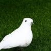 2Pcs White Doves Feather Artificial Foam Lover Peace Doves Bird Home Decor