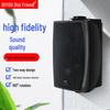 Diyou Wall-Mounted Conference & Broadcast Speaker System CN plug (adapter included)