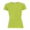 Womens/Ladies Sporty Raglan T-Shirt