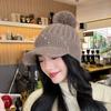 Outdoor Sports Women's Hat Autumn Winter Korean Baseball Cap Plush Lining Warm Knitted