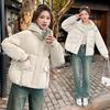 Short Down Cotton Clothes Women's Winter New Cotton Clothes Small Fashion Loose Thickened Warm Bread Clothes