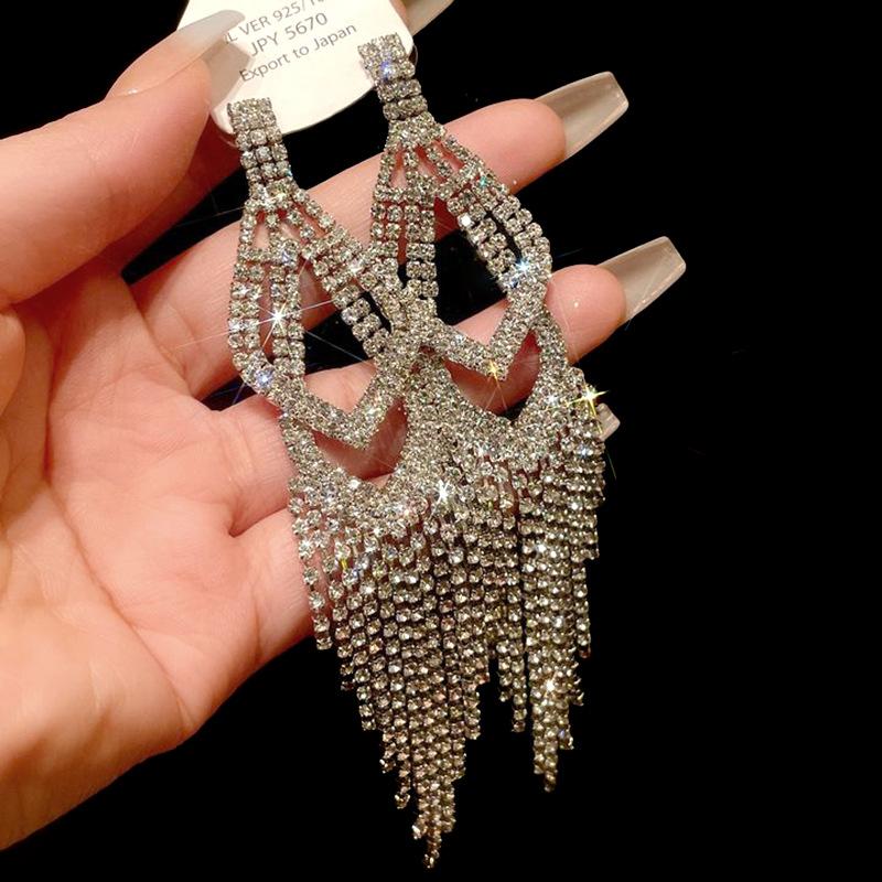 Silver needle metal long fringed earrings niche light luxury high-end earrings fashion versatile temperament earrings women