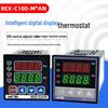 REX-C100 Smart PID Digital Temperature Controller 220V