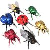 Simulation Chain Winding Insect Toys Plastic Animals Wind Up Insect Insect Model Toy  Party Gifts