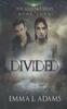Книга Divided : 4