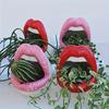 2 Red Lip Ceramic Flower Pot - Artistic and Creative Succulent Plant/cactus Pot, with Storage Box, Lightweight, Suitable for Indoor/outdoor Decoration