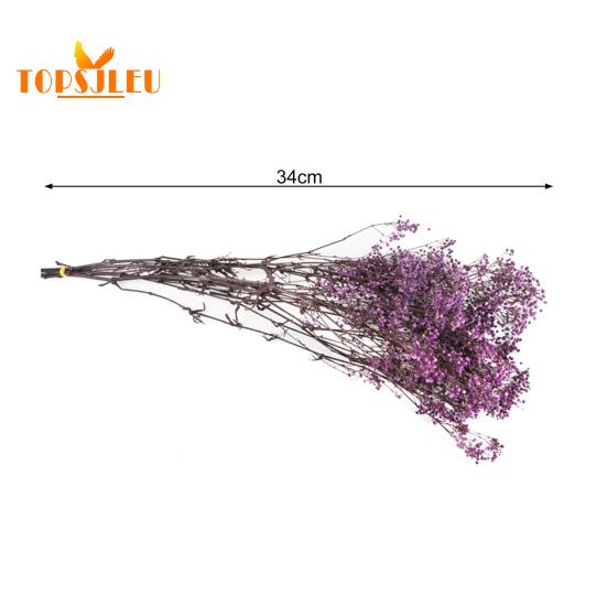 Букет эониума, сушеные цветы, яркий цвет, не выцветает, простота в уходе, натуральная сушеная гипсофила, сцена украшения ко Дню святого Валентина.