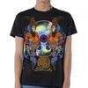 Футболка Mastodon Unisex Adult Crack The Skye Cotton