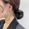 Новое дизайнерское чувство, серьги с перекрестными бахромой для ношения спереди и сзади, женские 111 серебряная игла мода супер блестящие серьги-гвоздики рыбий хвост