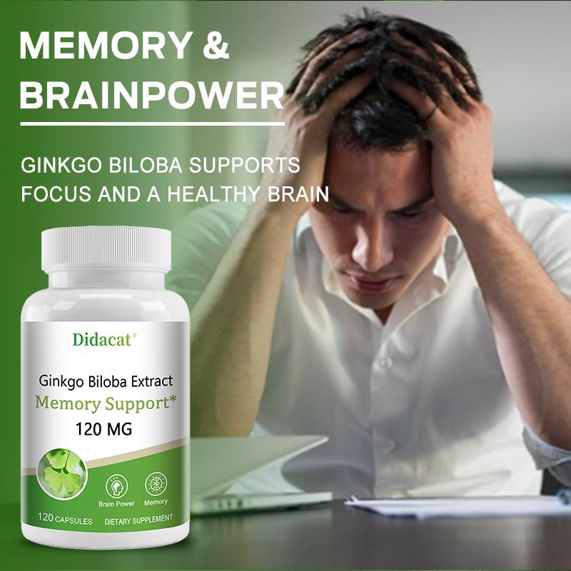 Ginkgo Biloba Extract 120 Mg Dietary Supplement, 120 Capsules Per Bottle