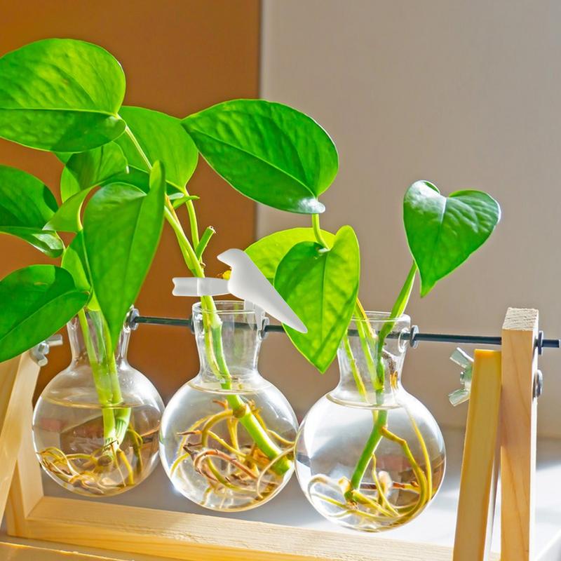 Держатель для поддержки растений, Декоративные опоры для выращивания растений, Поддержка для ростков, стеблей, побегов и черенков