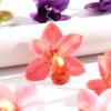 1 Pair Colorful Flower Stud Earrings Elegant Boho Earrings Resin Petal Earring  Women Accessories