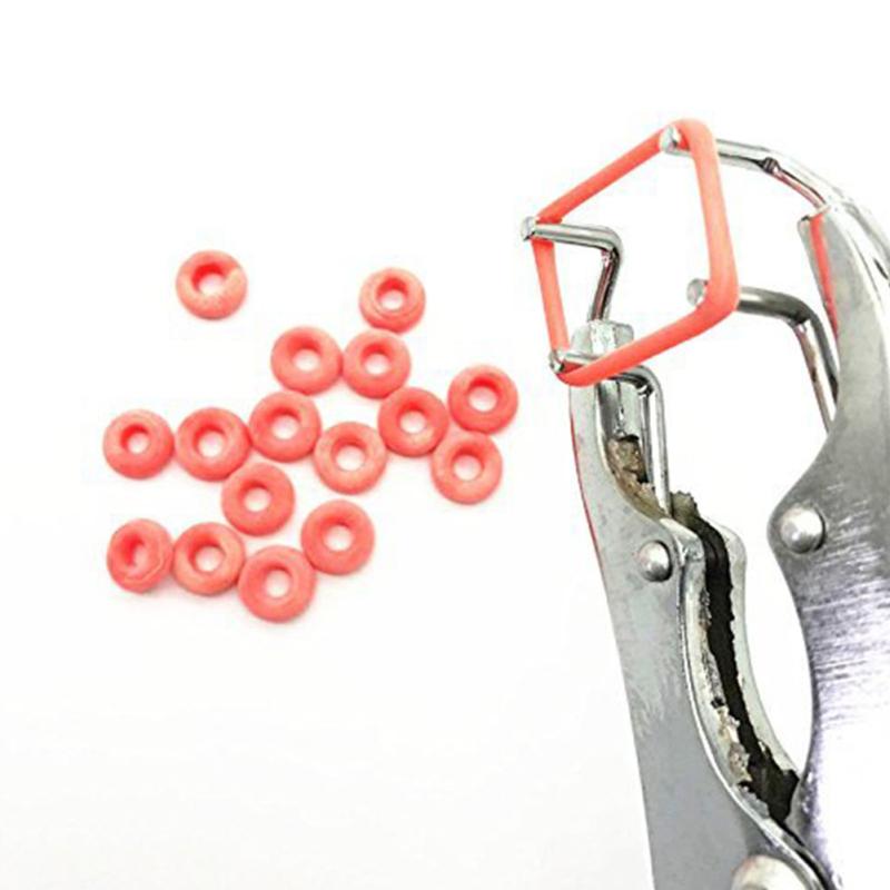 Ведро для кормления с чистым ведерком для куриного корма, 1,5 кг, утолщенное ведро для кормления кур