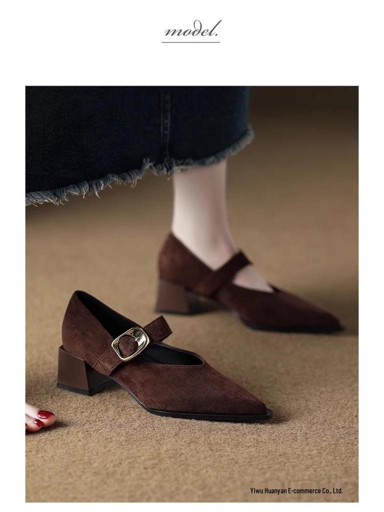 Французские ретро туфли Мэри Джейн на высоком каблуке - Изысканный стиль Весна/Осень 2025 для женщин с острым носком, идеально подходят к юбкам.