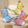 Multicolor Cartoon Bird Whistle Add Water Warble Whistle Musical Instrument Toys  Children Toy
