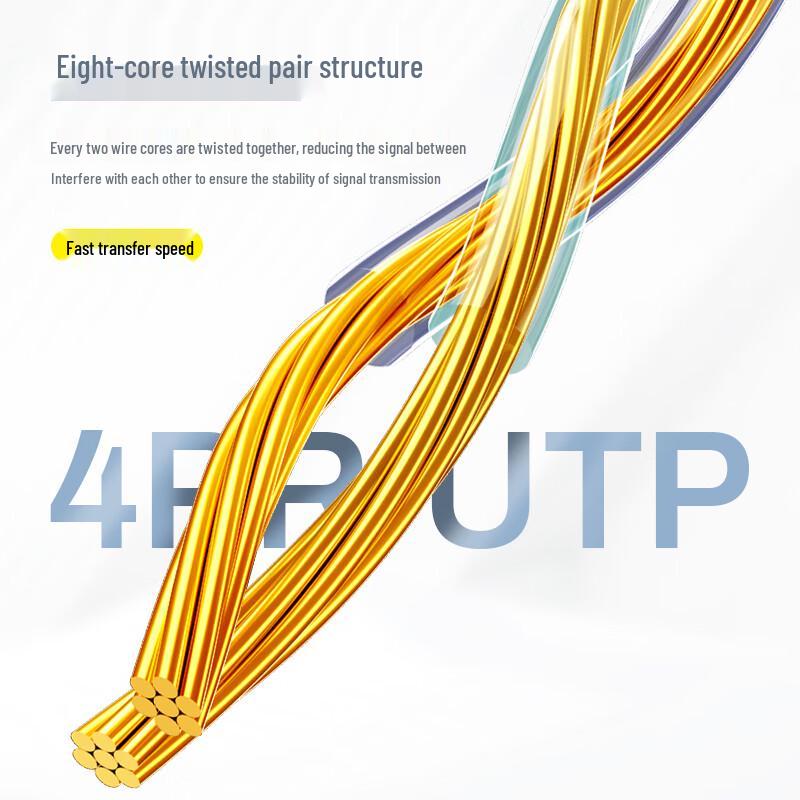 Shanze Cat6A Ethernet Network Cable