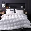 Трехмерное высококачественное пуховое одеяло из хлопкового твиста 80, утолщенное, теплое, большое зимнее одеяло из белого гусиного пуха 95