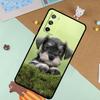 Щенок Шнауцера Мягкий Чехол Для Samsung Galaxy S25 Ultra S9 S10 S20 FE S21 S22 S23 Plus S24 Ultra Чехол