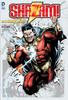 Shazam!: The Magic Guardian (The New 52!) (DC)