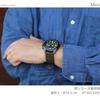 Used [New] Citizen CITIZEN PROMASTER Watch JV1007-07E Promaster Land 35th Anniversary Limited Edition