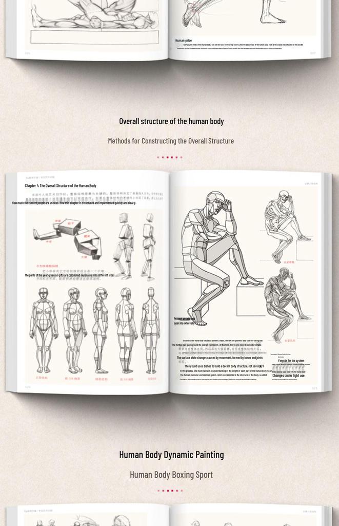Полное руководство по анатомии человека: Справочник по рисованию и скетчингу для начинающих