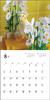 Календарь 2024 года Корелла (Календарь Seibundo Shinkosha)