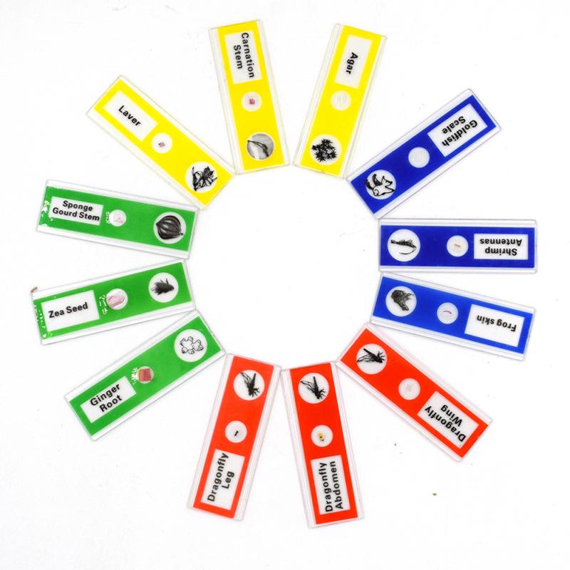 12 шт./набор пластиковых предметных стекол для микроскопа биологический образец для детей и студентов микроскоп