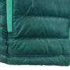 Patagonia 84683FA15 карманная пуховая куртка M зеленый Для улицы Женская Б/У